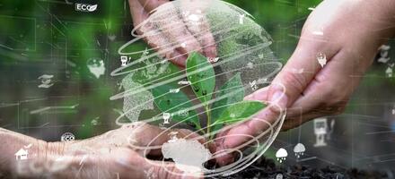 Global sustainability and management systems Global sustainability and management systems